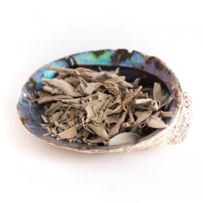 Abalone shell with sage & sweetgrass